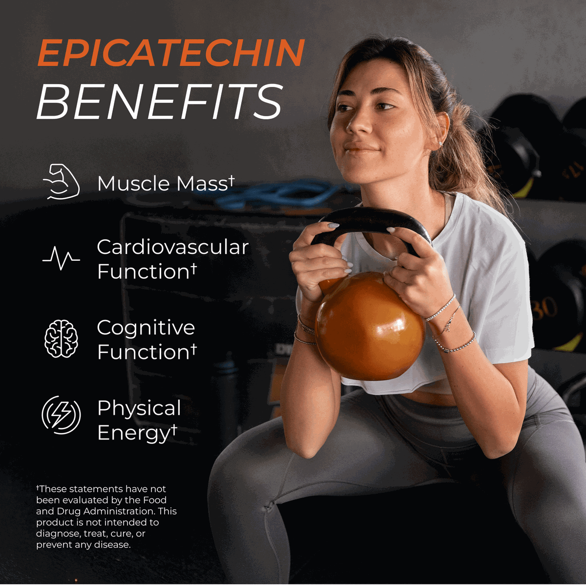 Epicatechin Supplement