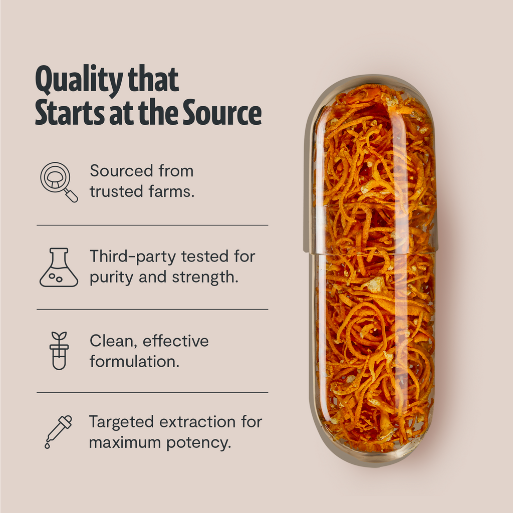 Organic Cordyceps Mushroom Supplement Capsules