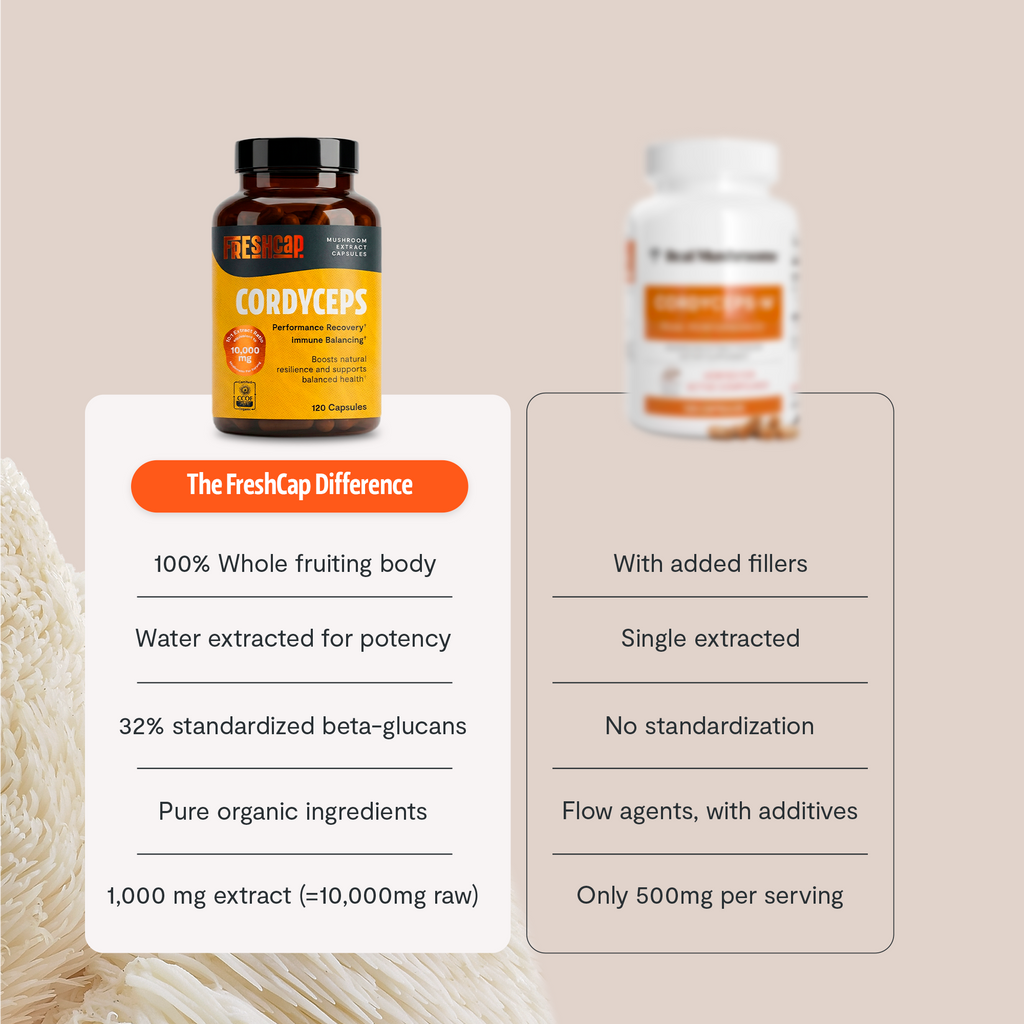 Organic Cordyceps Mushroom Supplement Capsules