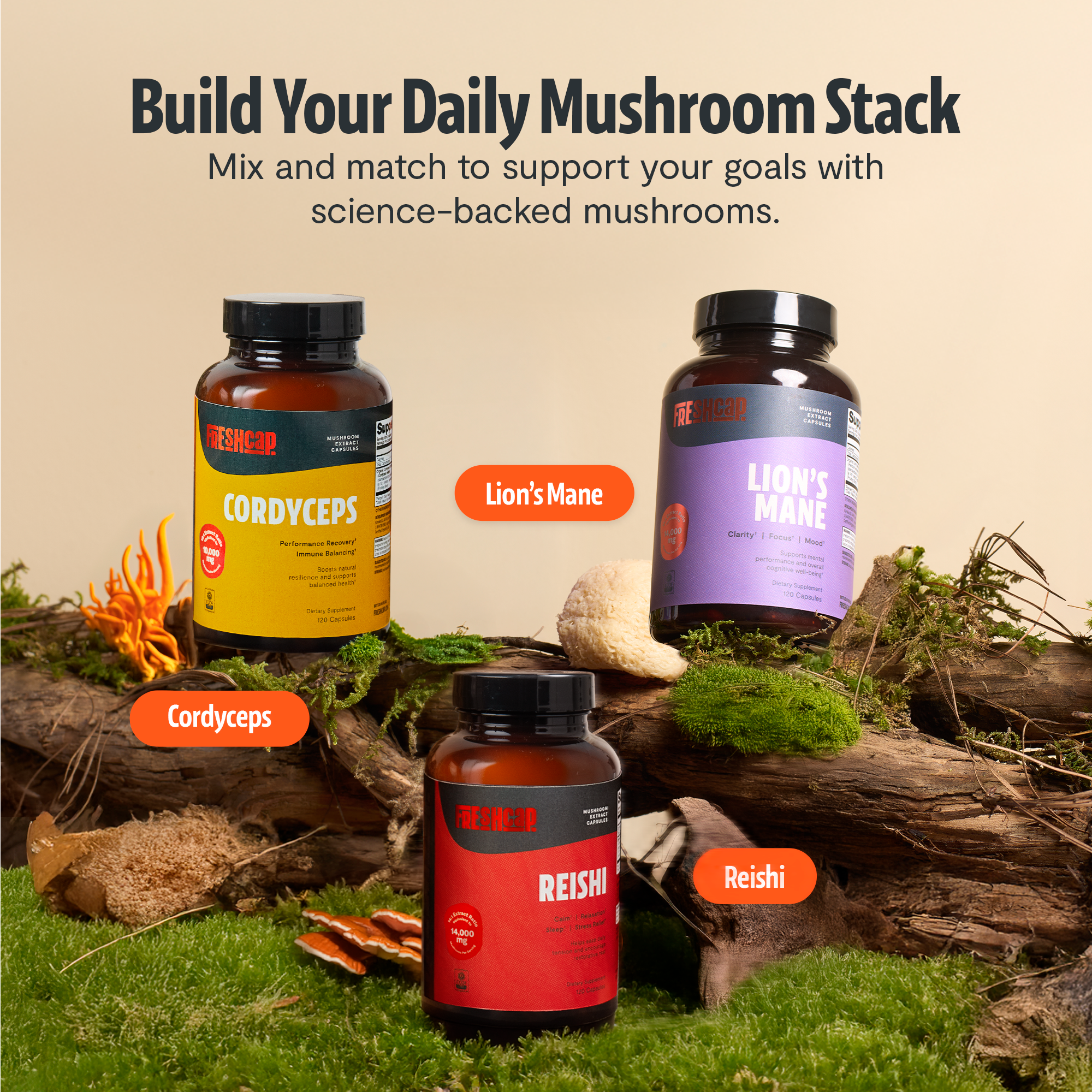 Organic Cordyceps Mushroom Supplement Capsules