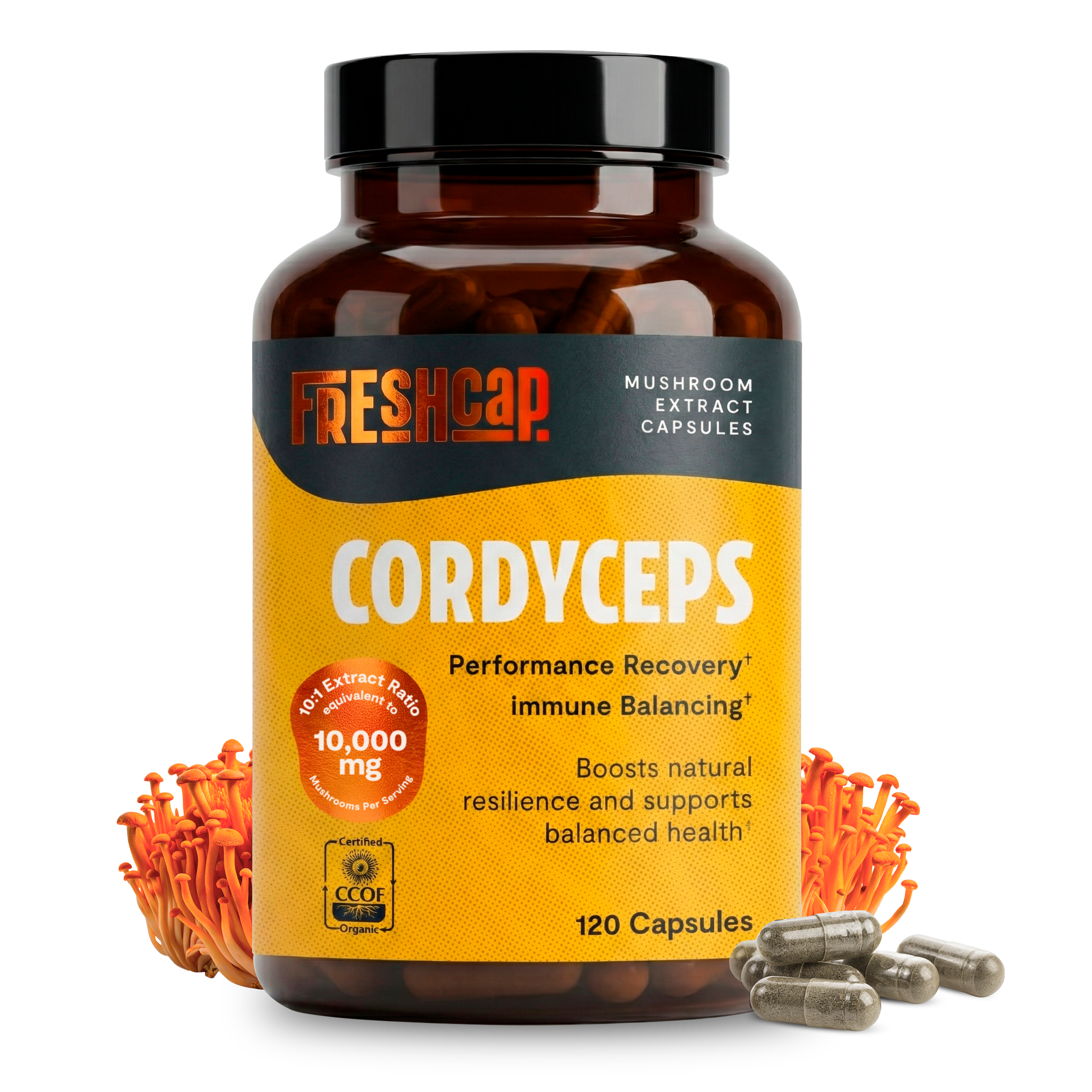 Organic Cordyceps Mushroom Supplement Capsules