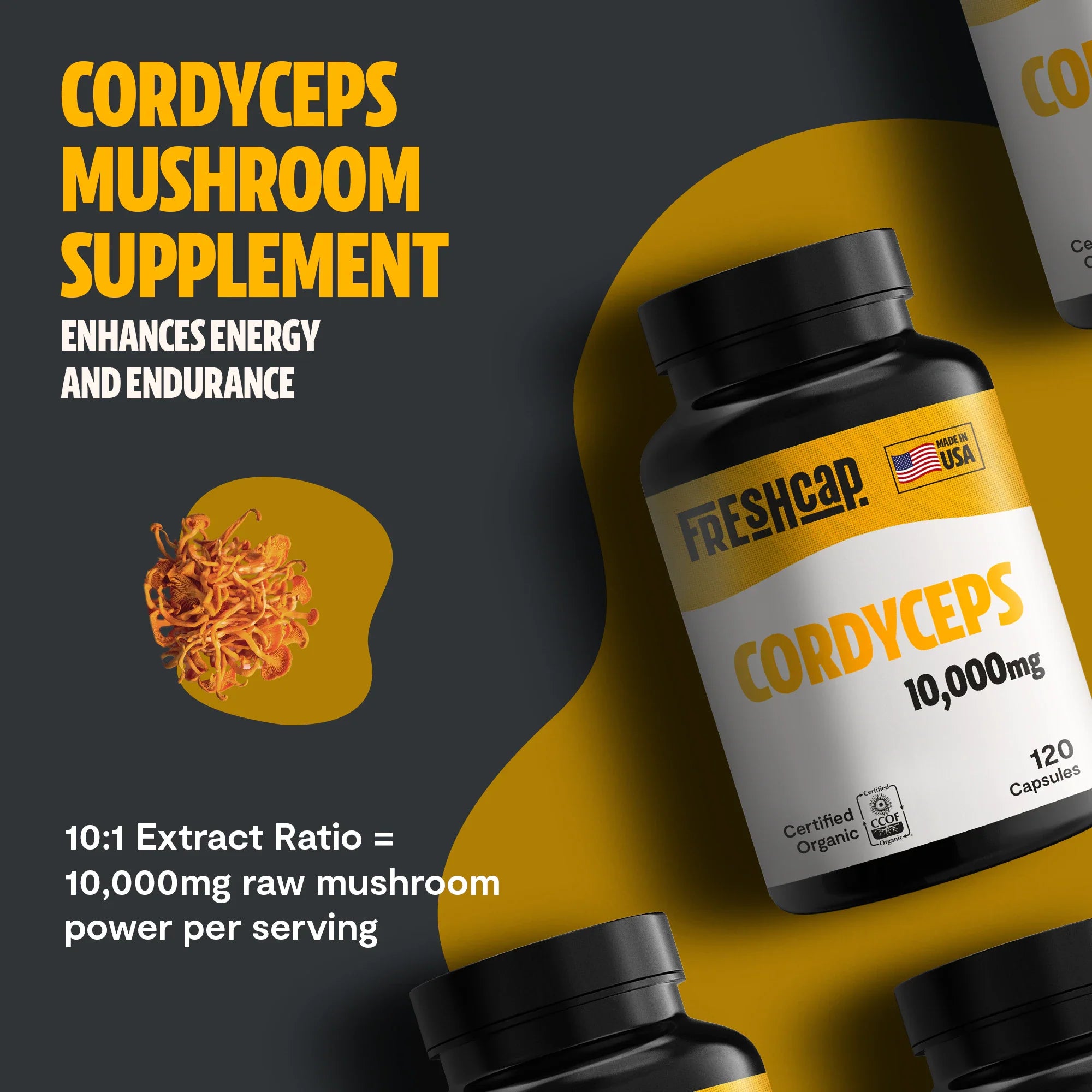 Organic Cordyceps Mushroom Supplement Capsules